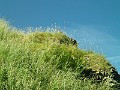 2014 Edinburgh 2014-07-09 068